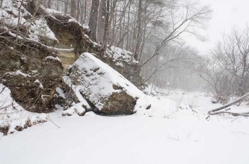 This is a bluff along Turtle Creek in the Driftless Area of Wisconsin.