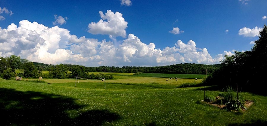 Summer Clouds