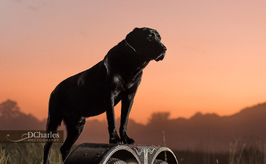 Hudson at sunset