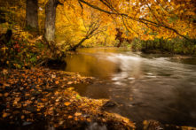 Autumn on Turtle Creek