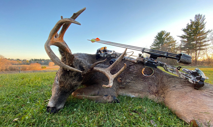 WI Trophy Archery buck